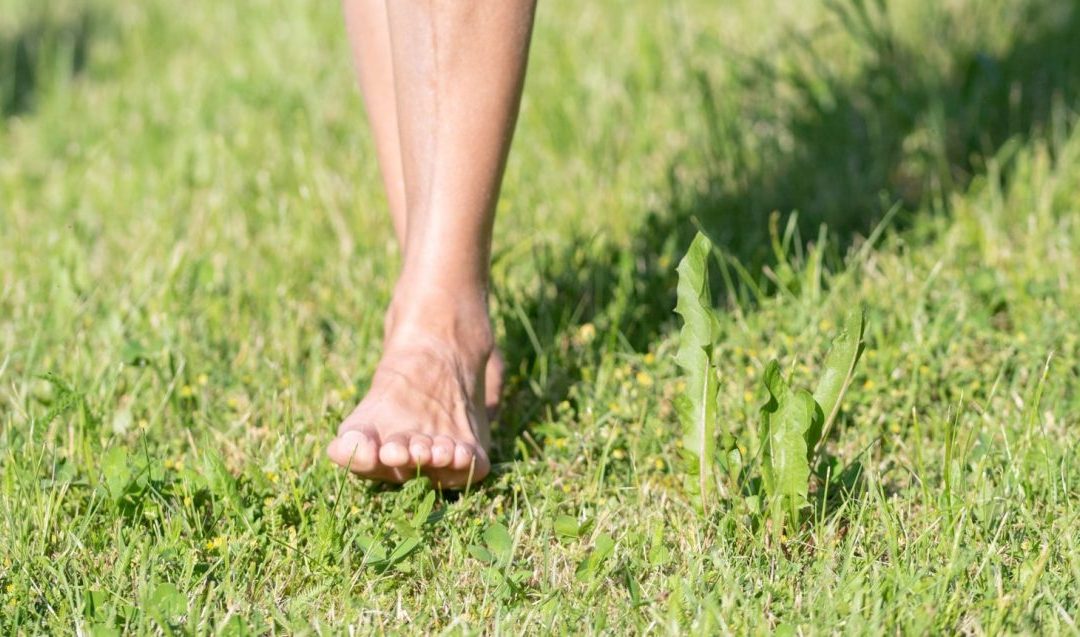 A mano A piedi A occhi chiusi